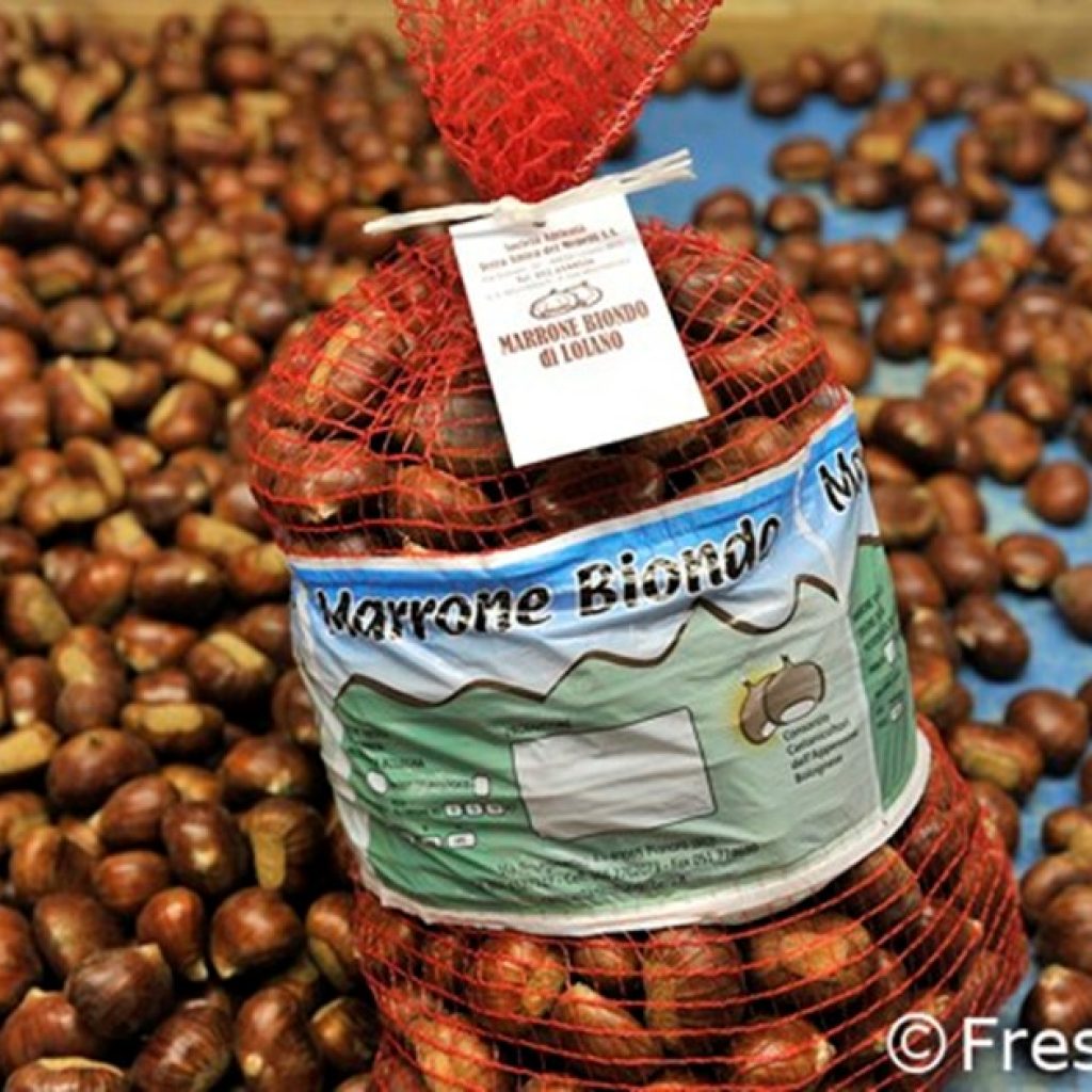 Mechanized harvesting for chestnuts