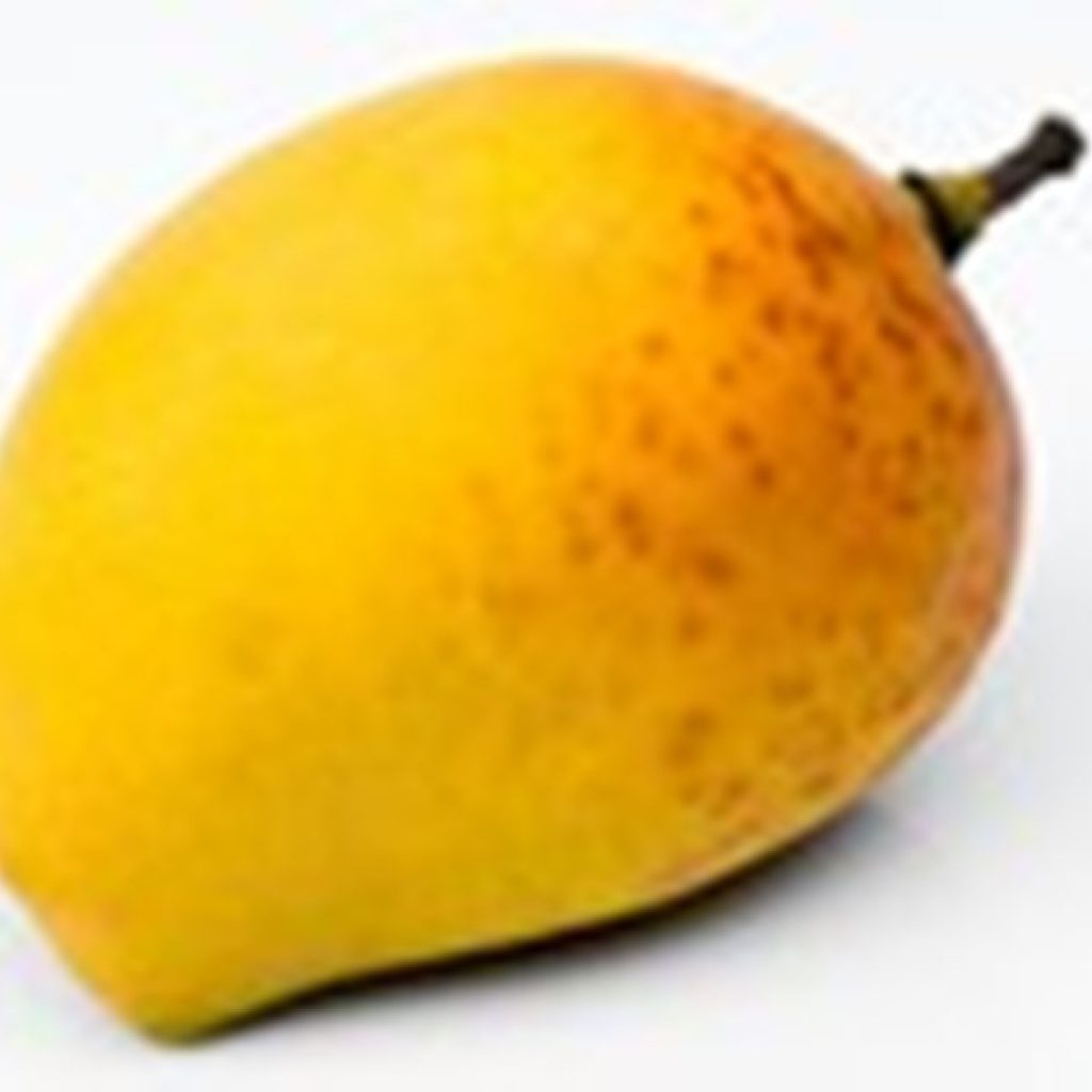 APMC market gets Alphonso mangoes from Malawi