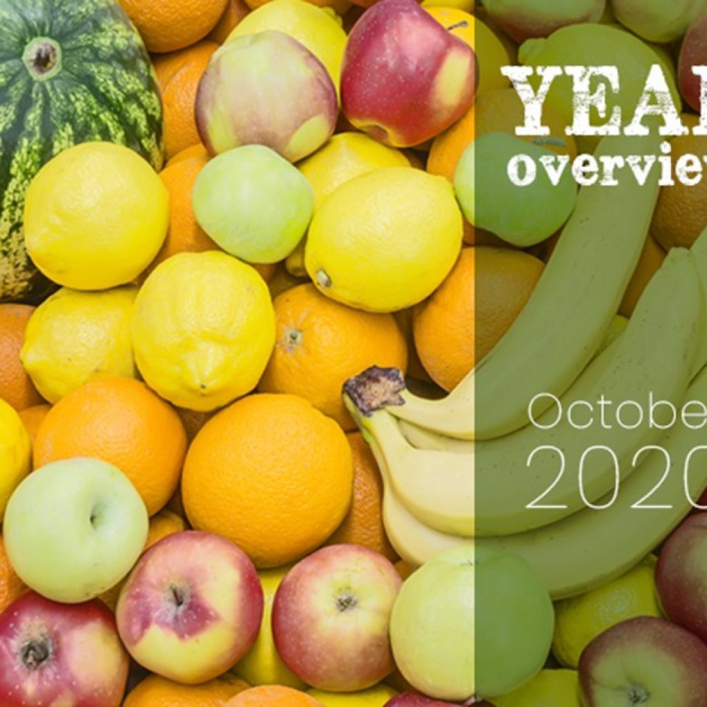 Year overview 2020: October