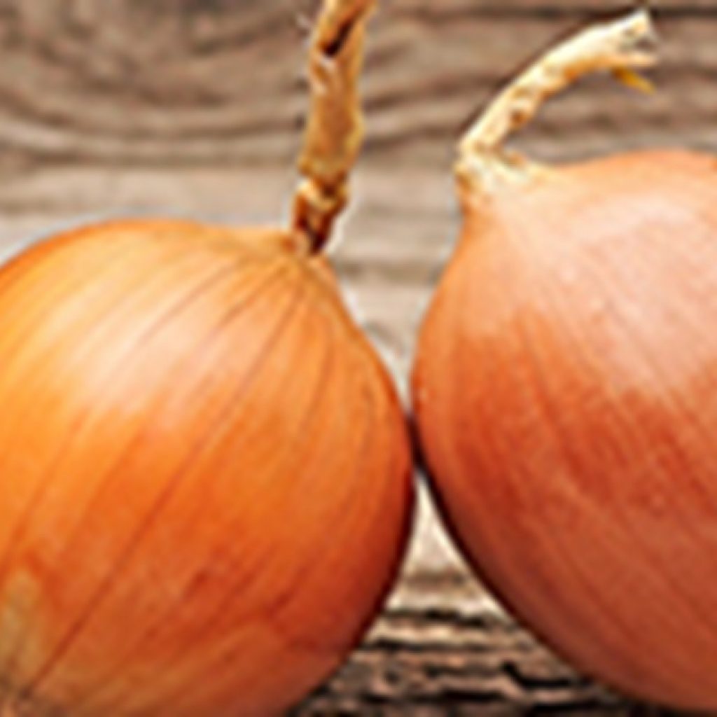 Indian government relaxes onion import conditions to counter high market prices