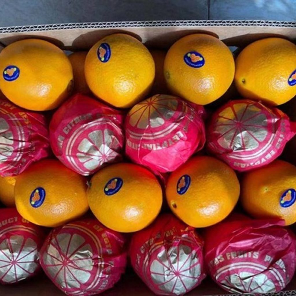 Egyptian orange season has begun, but Chinese importers are waiting to see how the market will develop