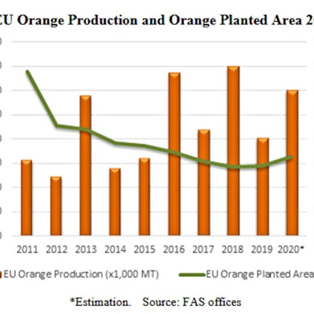 European citrus harvest to increase by 7.5% in 2020/21
