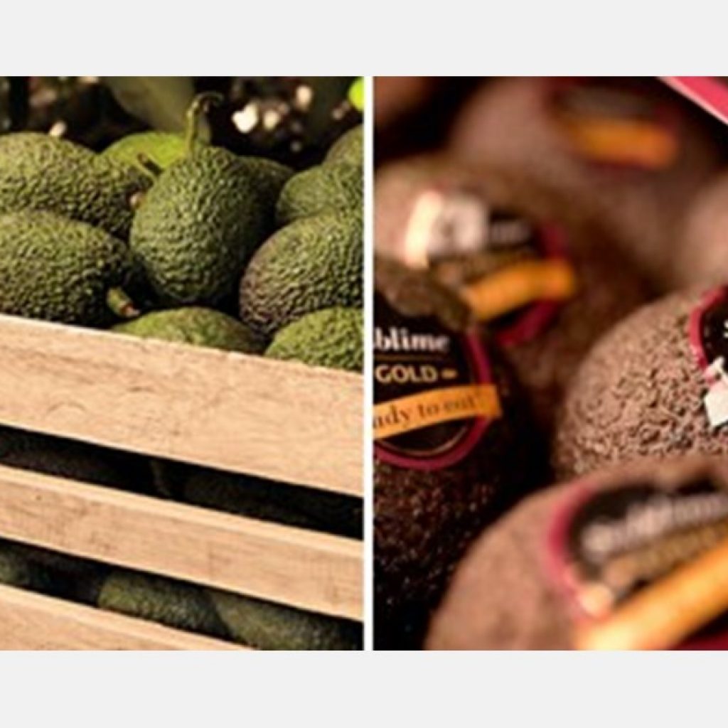 "Making Spanish mangoes and avocados better known throughout Germany"