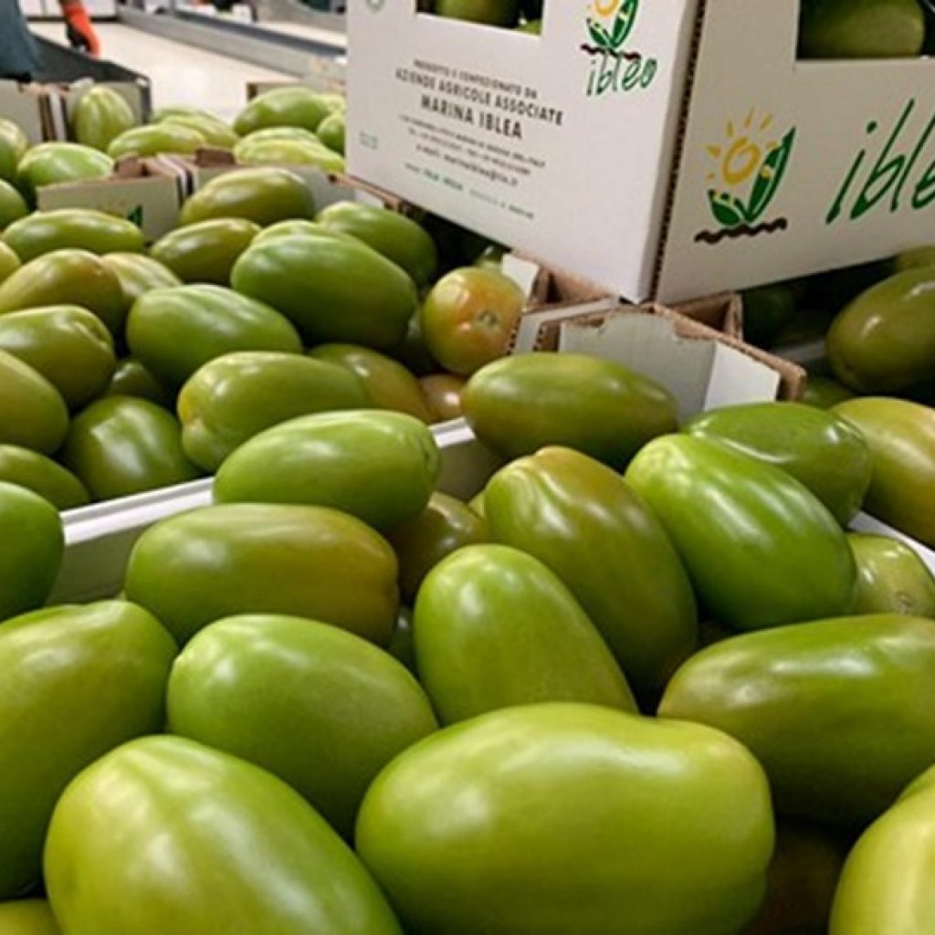 Year 2021 brings new challenges to the tomato and vegetable market