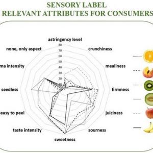 How should fruit be described on packaging labels?