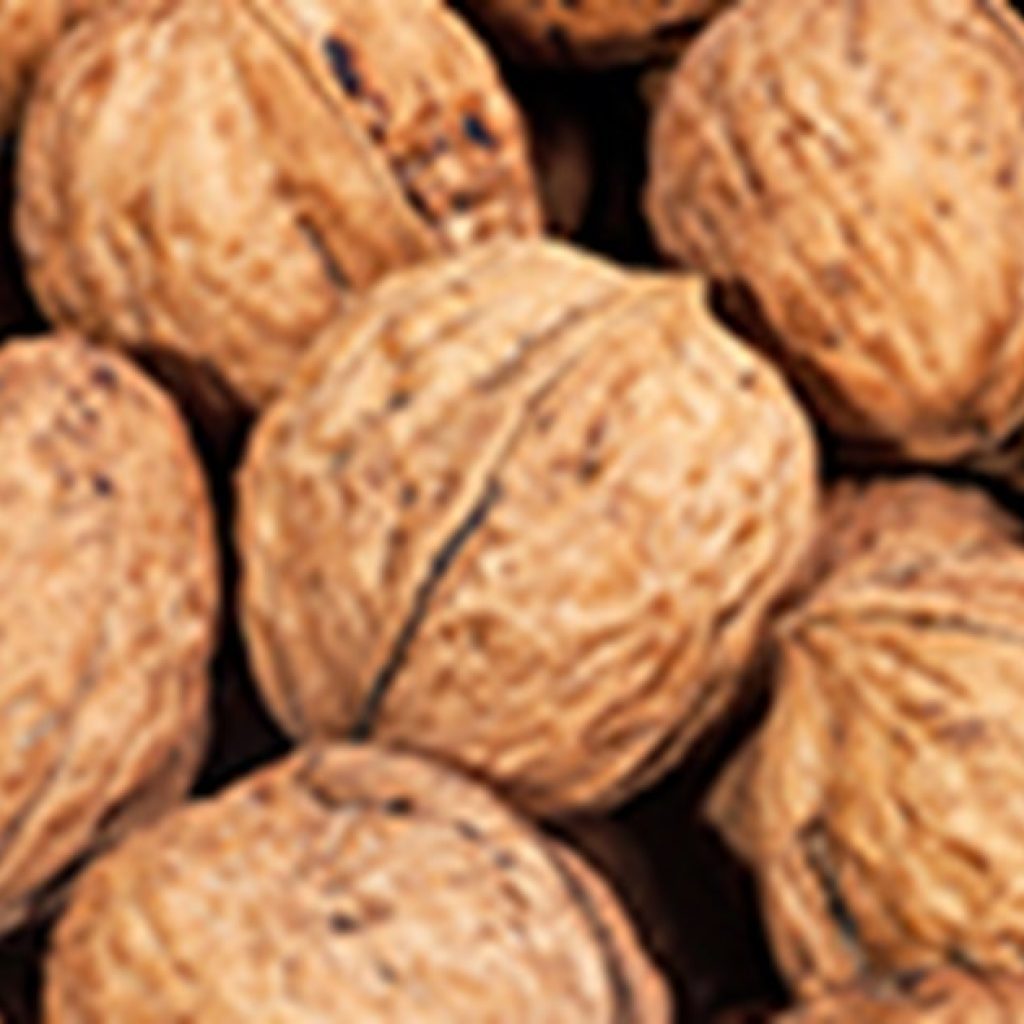 Cheap nuts from the US threaten Spanish walnut industry