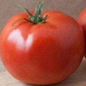 Hot-water treatment works against chilling injury symptoms in fresh tomatoes