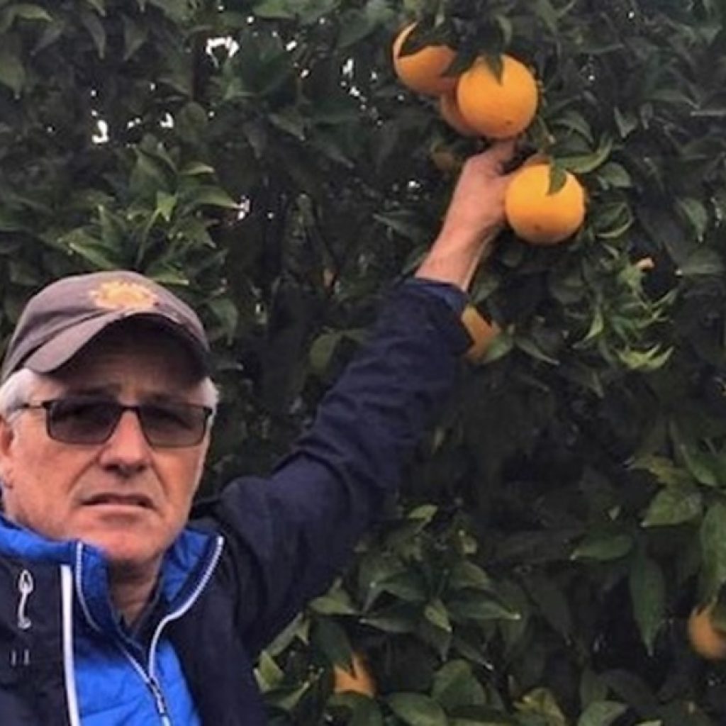 Citrus fruit demand exceeds supply