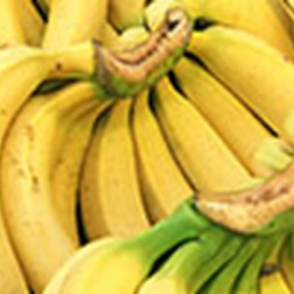 Banana exports Cameroon down by 8% in 2020
