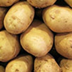 Brexit might be opportunity to market Irish seed potatoes