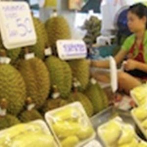 China slowing durian imports from Thailand