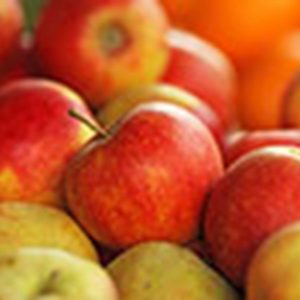 December apple export rate lowest in three years