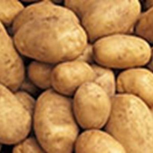 How much potato is in fact produced in Ukraine?