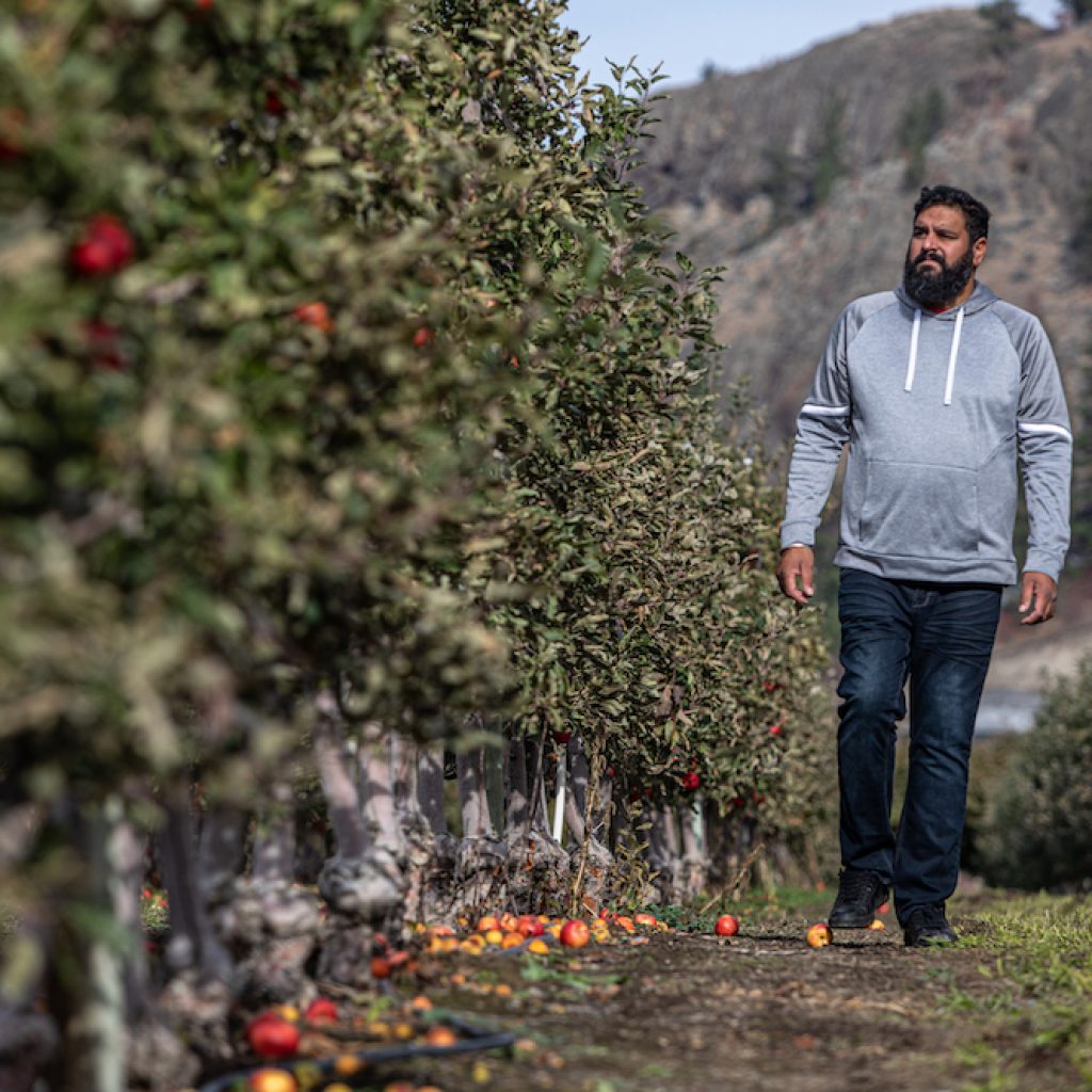 Last Days for BC’s Apple Industry?