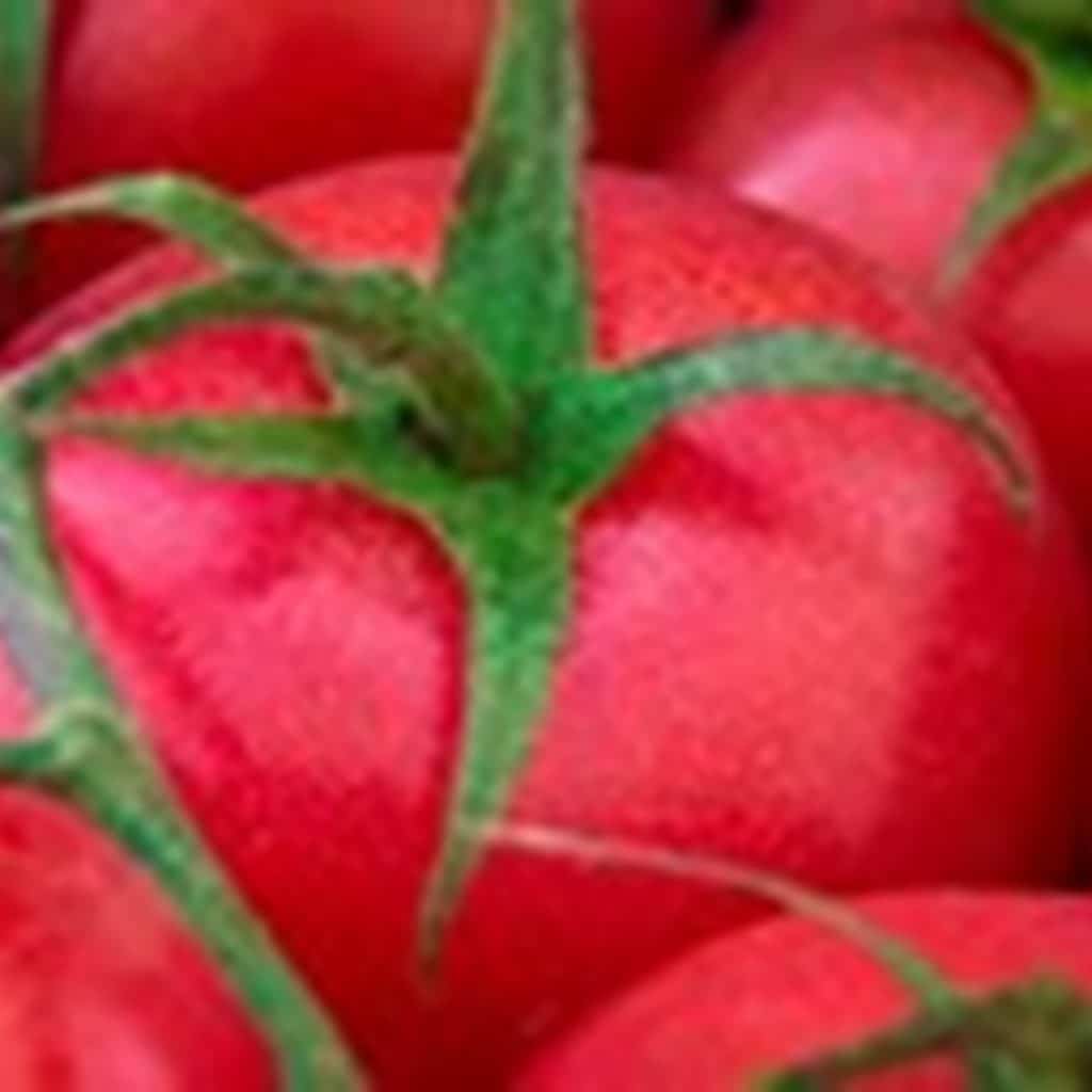 Rosselkhoznadzor allows tomato imports from 34 Uzbek companies