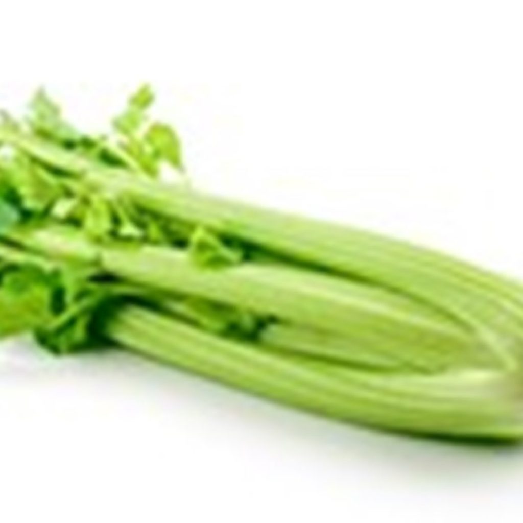 Victoria growers forced to dump $150,000 worth of celery due to labor shortage