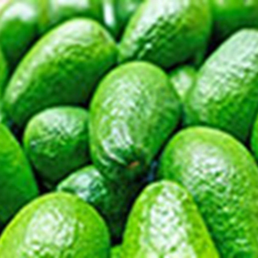 Attempted theft of 1,000 kg of avocados