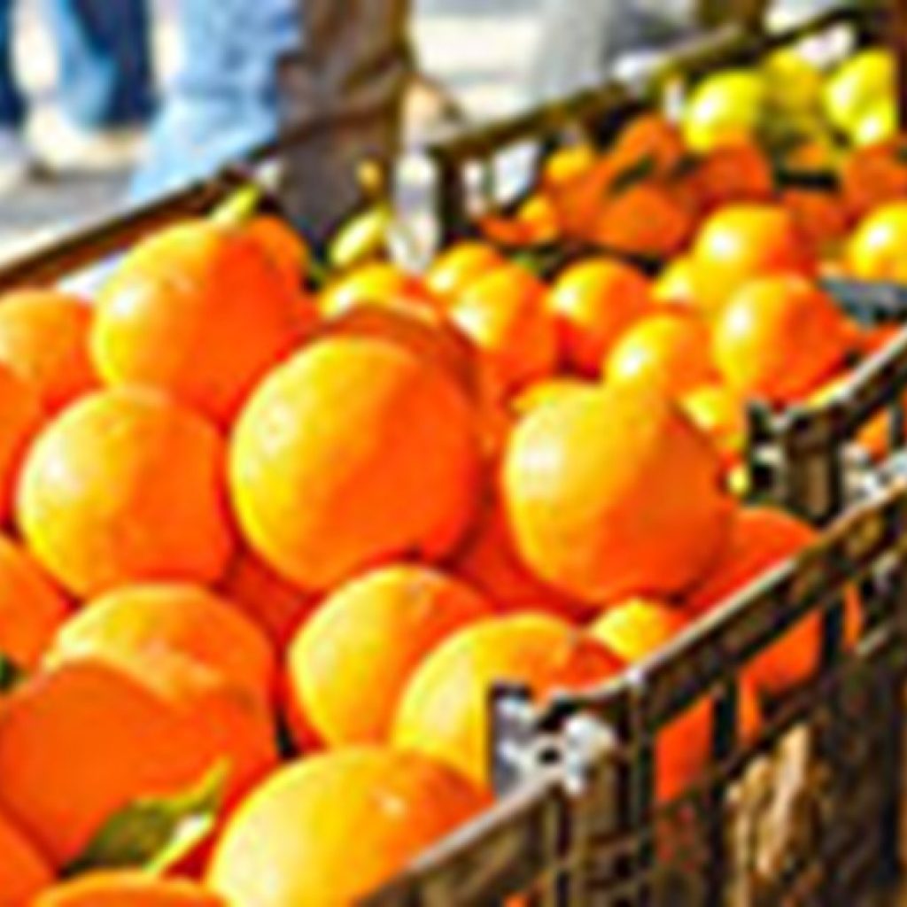 Value of citrus crop up in Tulare County, California