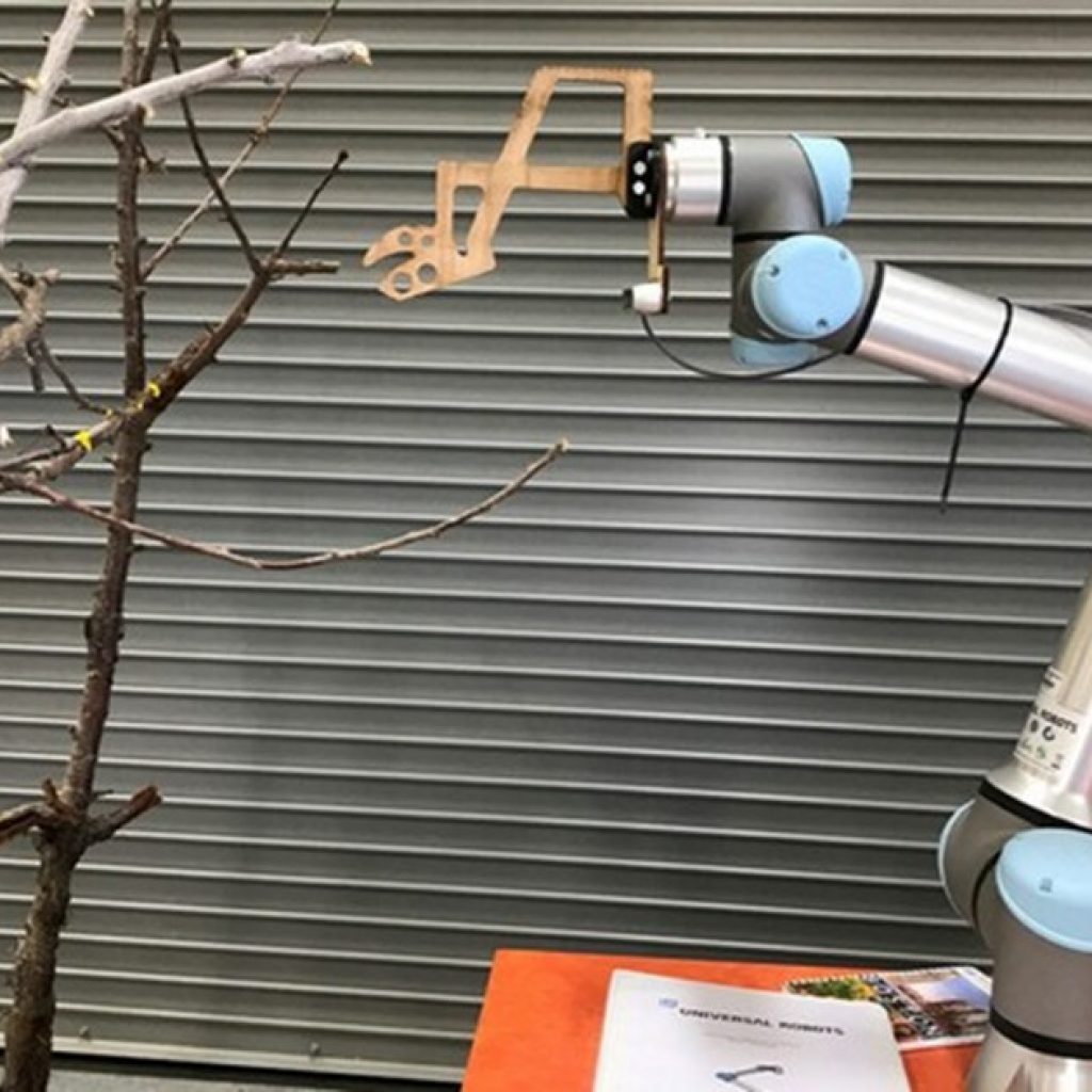WSU partners with Netherlands, Washington growers to improve orchard robotics & automation