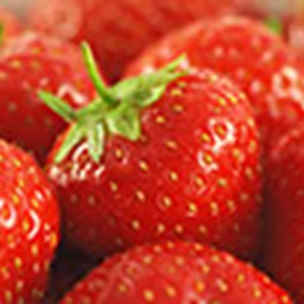 What will 2021 bring regarding the expansion of strawberry plantations in Moldova?