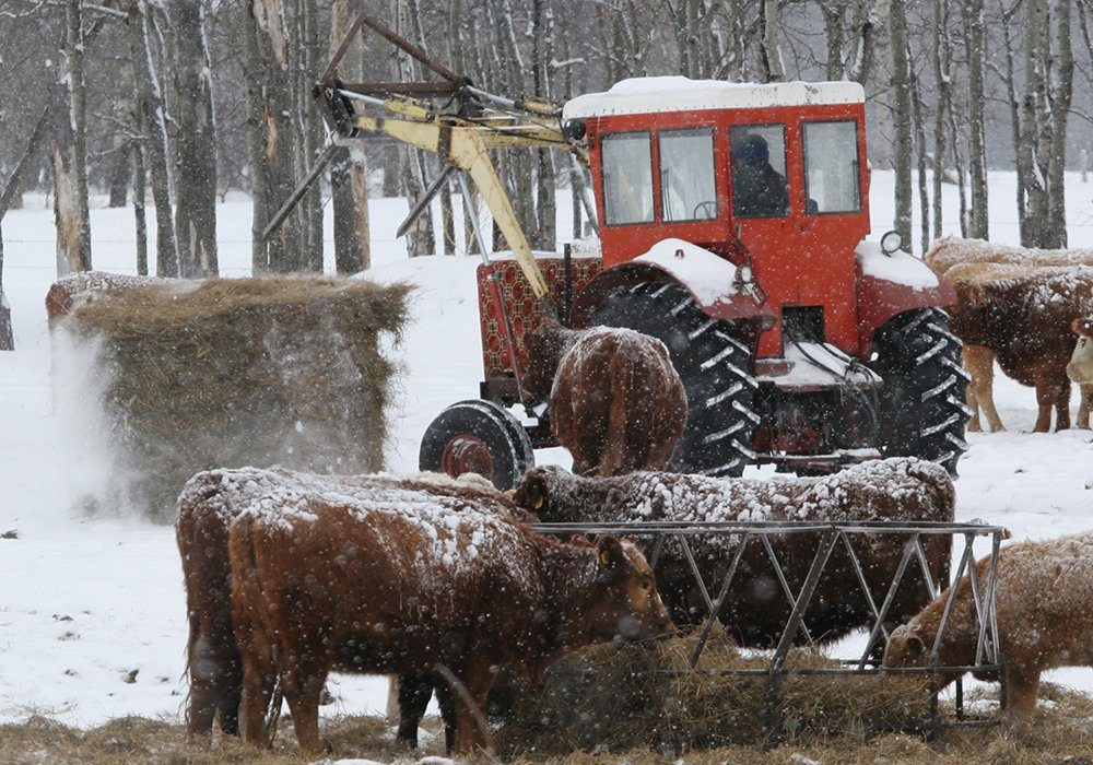 “We need to have tools that help us better manage the risks of weather, trade and production,” said Bob Lowe, president of the Canadian Cattlemen’s Association. 