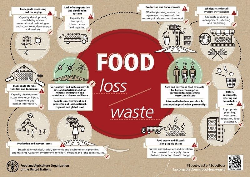 a diagram explaining where food waste is coming from