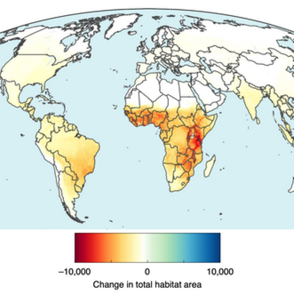 Projected changes in total habitat (mean habitat loss in a cell multiplied by the number of species present) caused by agriculture expansion by 2050. Note the concentrations in East and West Africa. 