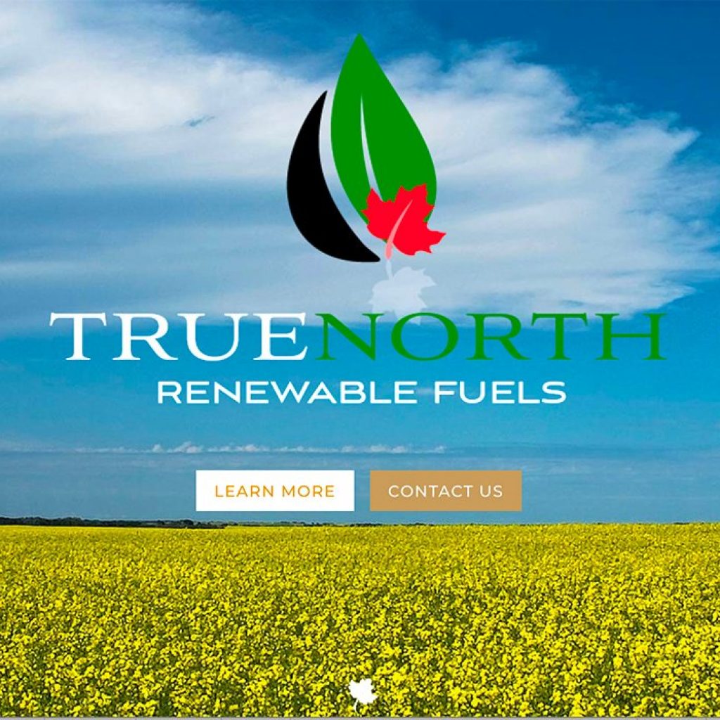 Proposed renewable diesel plant excites canola growers