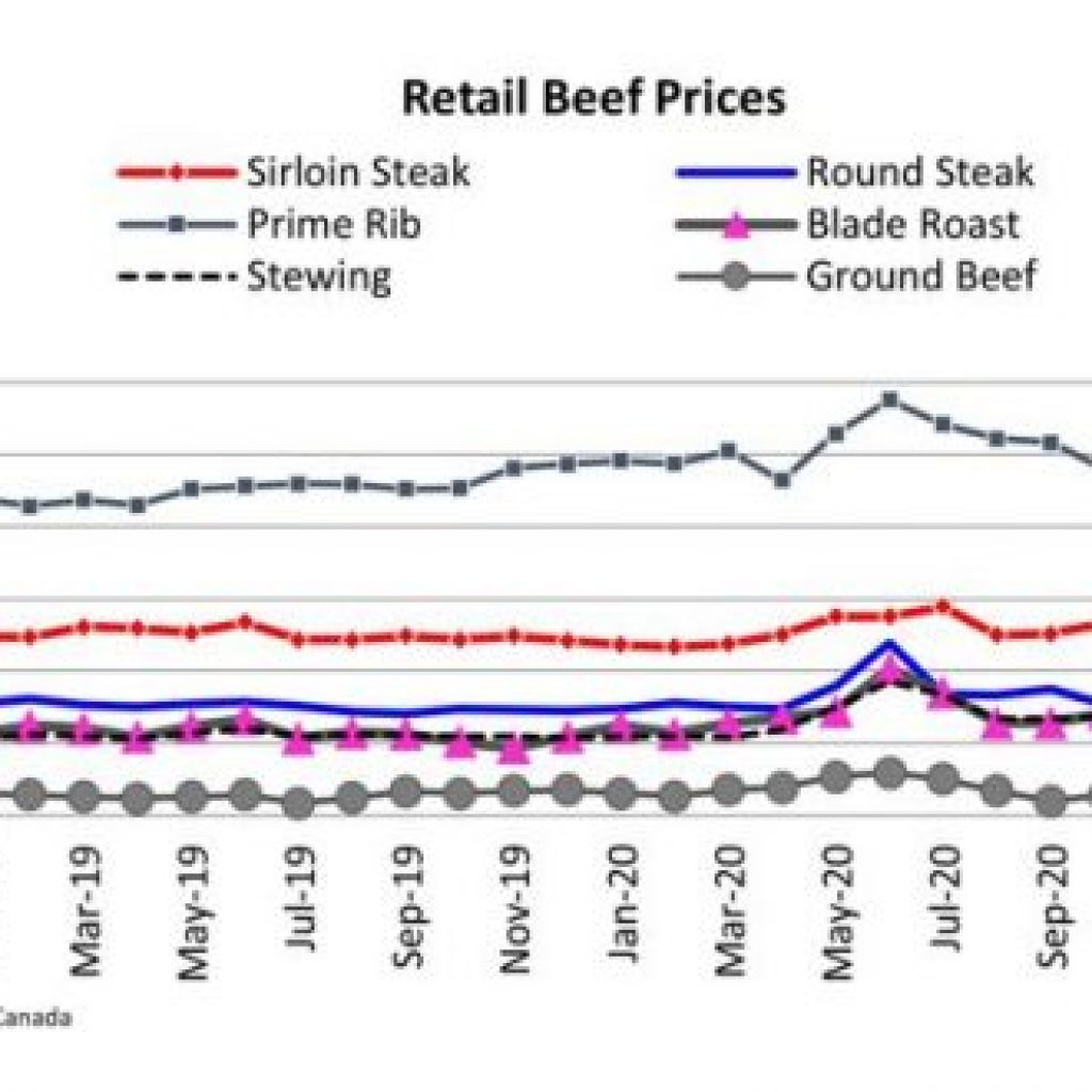 Retail Prices Signal More Beef