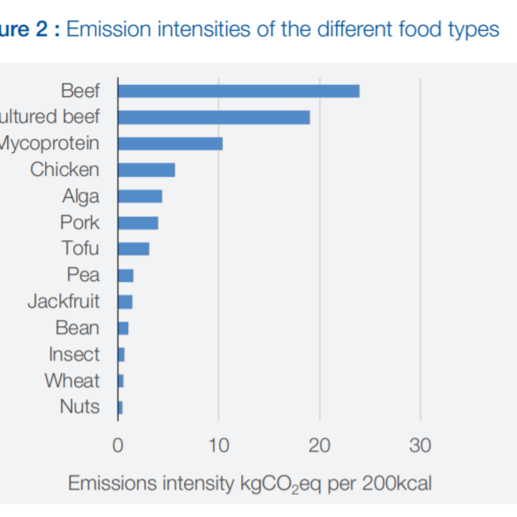 A chart showing the emission intensities of different food types per 200 calories.