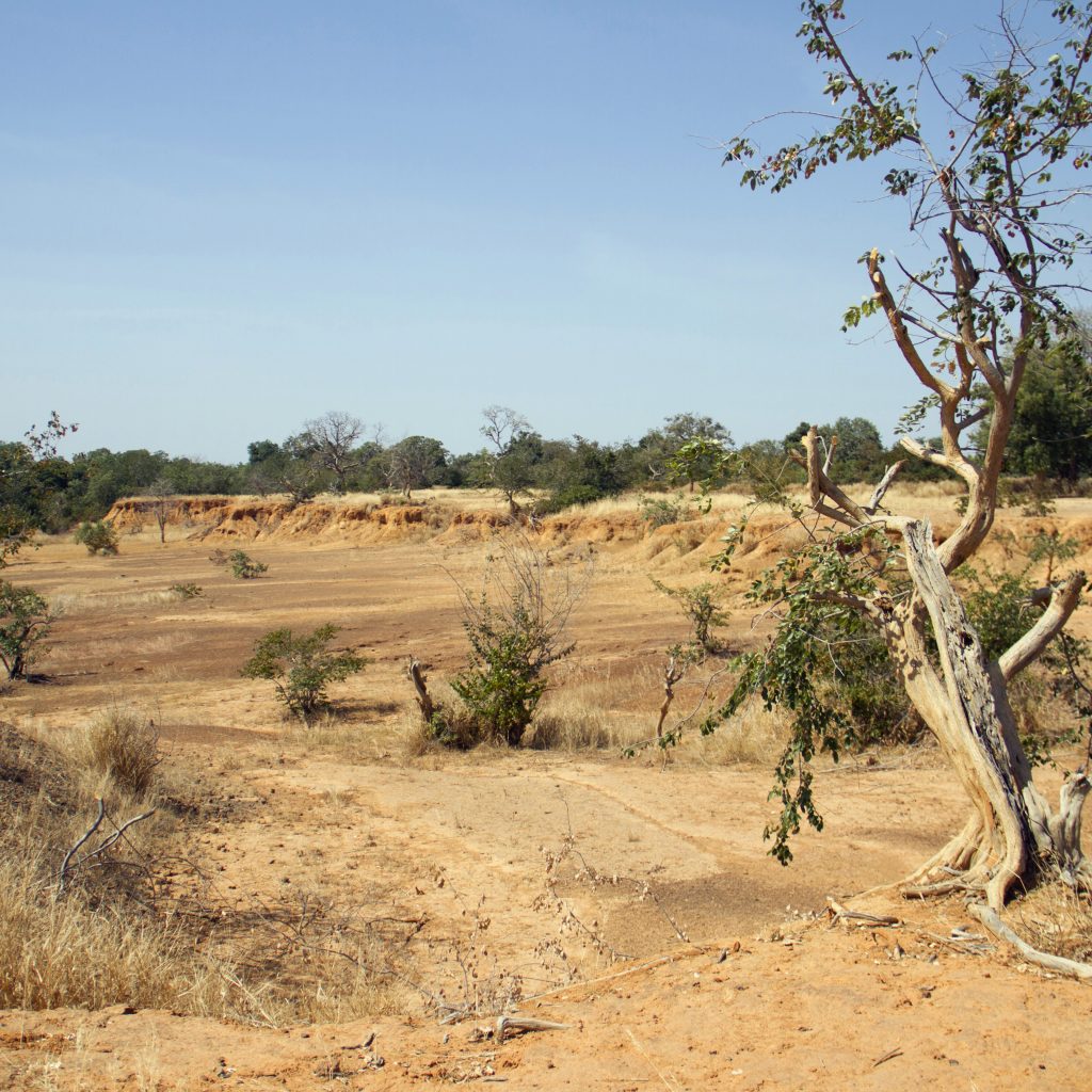Parched land is pictured around the Lake Wegnia, in Sahel region of Koulikoro, Mali November 22, 2019. Picture taken November 22, 2019. REUTERS/Arouna Sissoko - RC2IJD9CY3FT