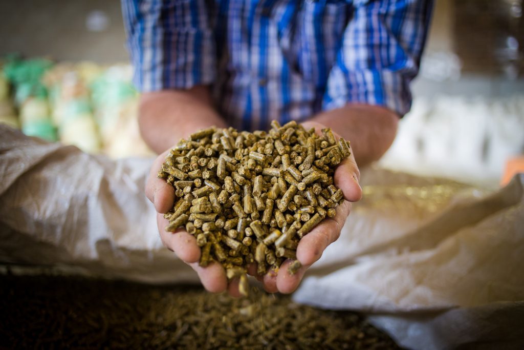Antibiotic alternatives stimulate new product development in animal feed ingredient market