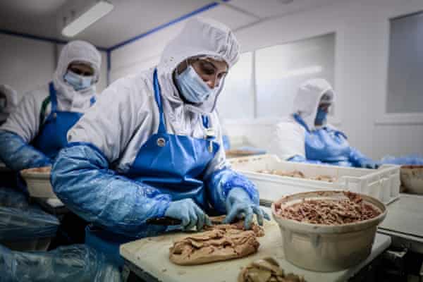 Workers processing foie gras and other duck products for Maison Lafitte in Castelnau-Montaut, south-west France.