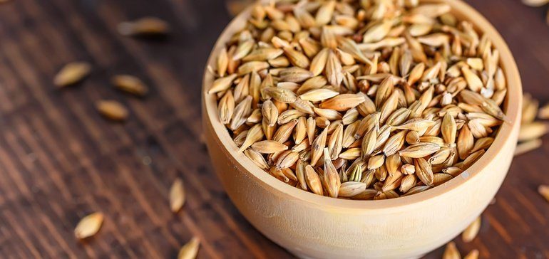 Anheuser-Busch invests $100M to upcycle barley used to make beer