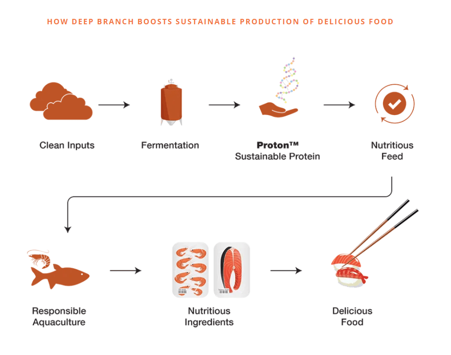 a diagram to show Deep Branch boosts the sustainable production of food