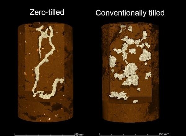 a diagram showing how tiled and non-tilled soil compare 