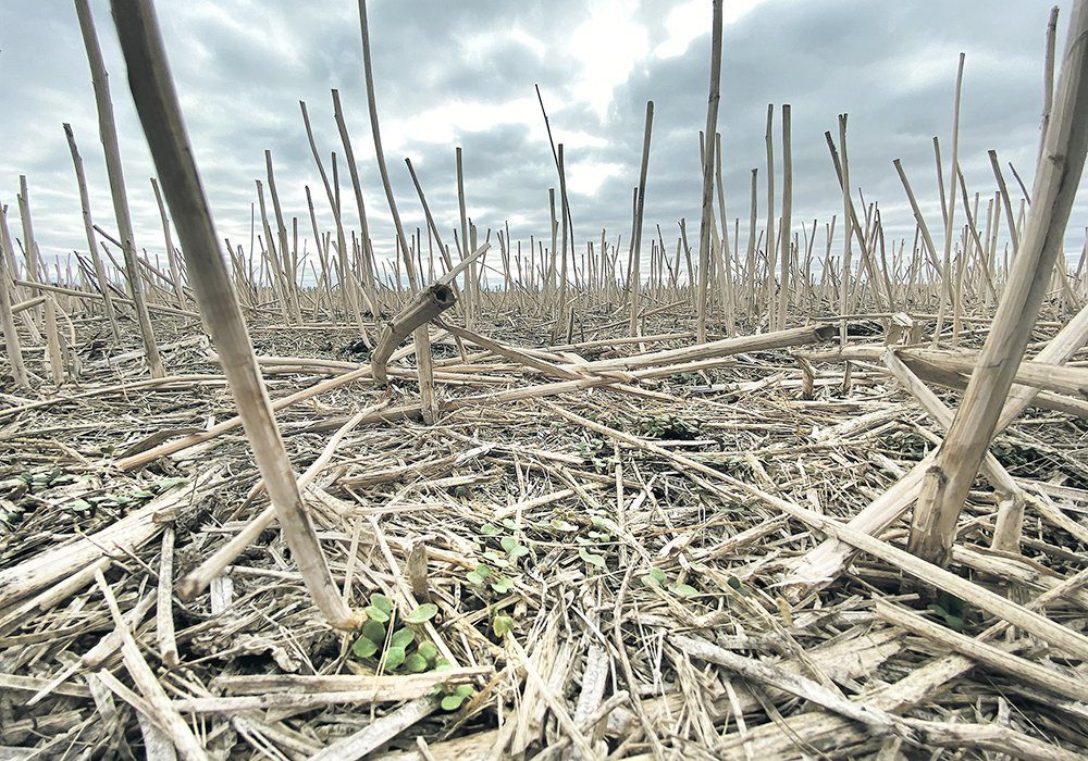 A petition on change.org is sponsored by Saskatchewan farmers who say they are being penalized for being early adopters of technology like no-till. 