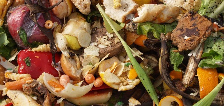 Food and environmental groups call on federal government to tackle food waste