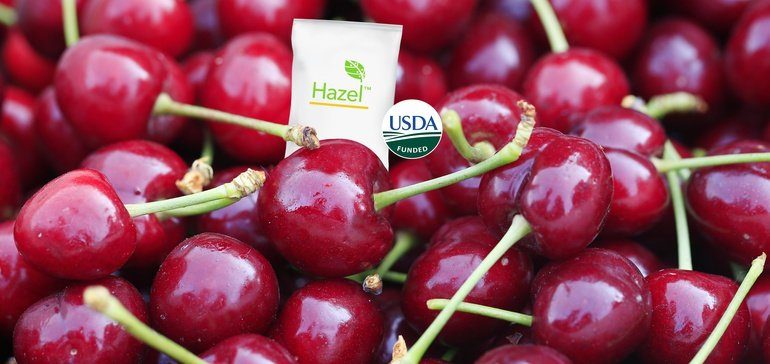 Hazel Technologies raises $70M for packets to prevent food waste