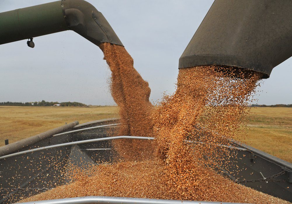Brennan Turner, president of FarmLead, believes the new Chinese guidelines will be a blessing for Prairie farmers because it opens the door for the importation of competing feed ingredients like wheat, barley and peas. 