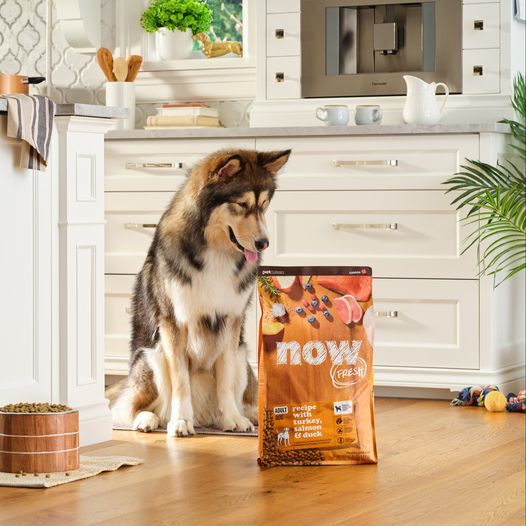 Petcurean of BC does a global brand refresh of its NOW FRESH recipes for cats and dogs