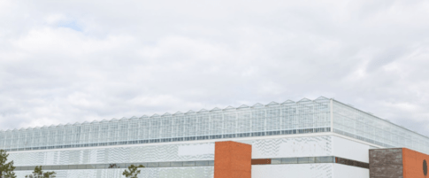 The vast rooftop greenhouse providing fresh produce to Montreal
