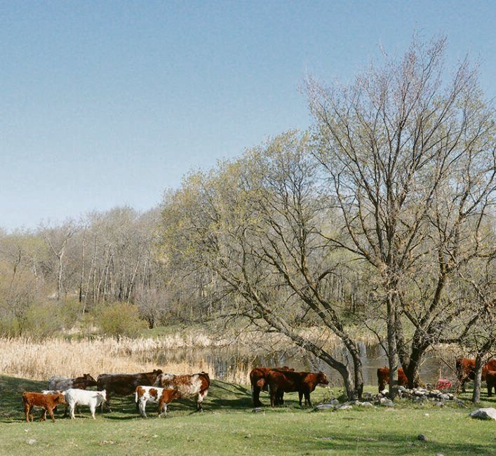 Water supply perilous for many prairie ranches