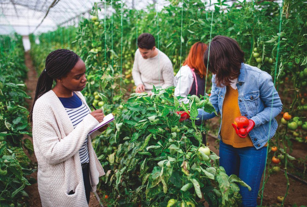 Agriculture education is needed to attract more people to the sector. 