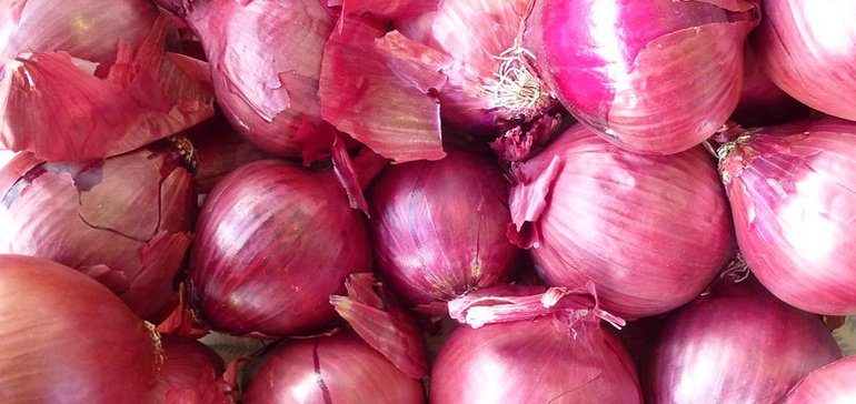 Onion outbreak likely caused by contaminated water, FDA says