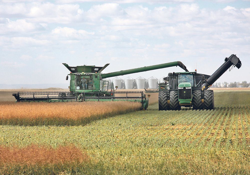 Recent research looked at how farmers can adjust their combine settings as humidity levels change throughout the day. By regularly checking their loss pans and tweaking their settings, farmers can put an extra two bushels per acre in their bins and reduce volunteer weeds for years to come. 