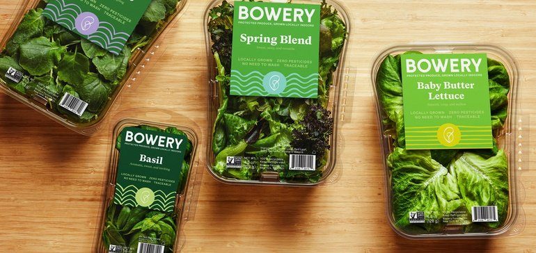 Vertical farming company Bowery raises $300M, valuing firm at $2.3B