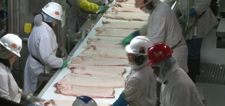 Meatpackers fail to secure protection with new OSHA COVID-19 safety rule