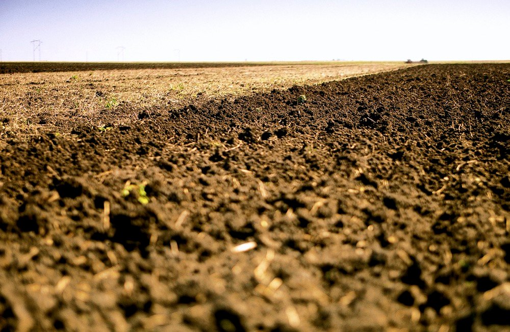 A recent report suggests that increasing soil carbon levels is one way to curb greenhouse gas emissions.