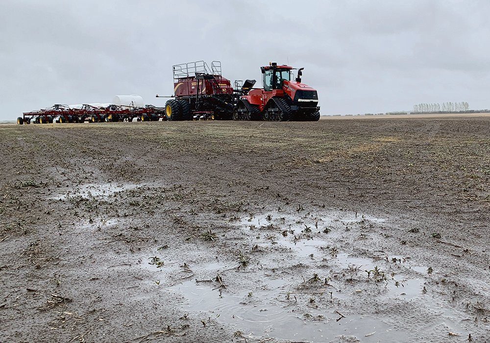 Rainfall of 25 millimetres or more fell throughout the parched grain belt in all three provinces through the May long weekend, and some areas also received wet snow. 